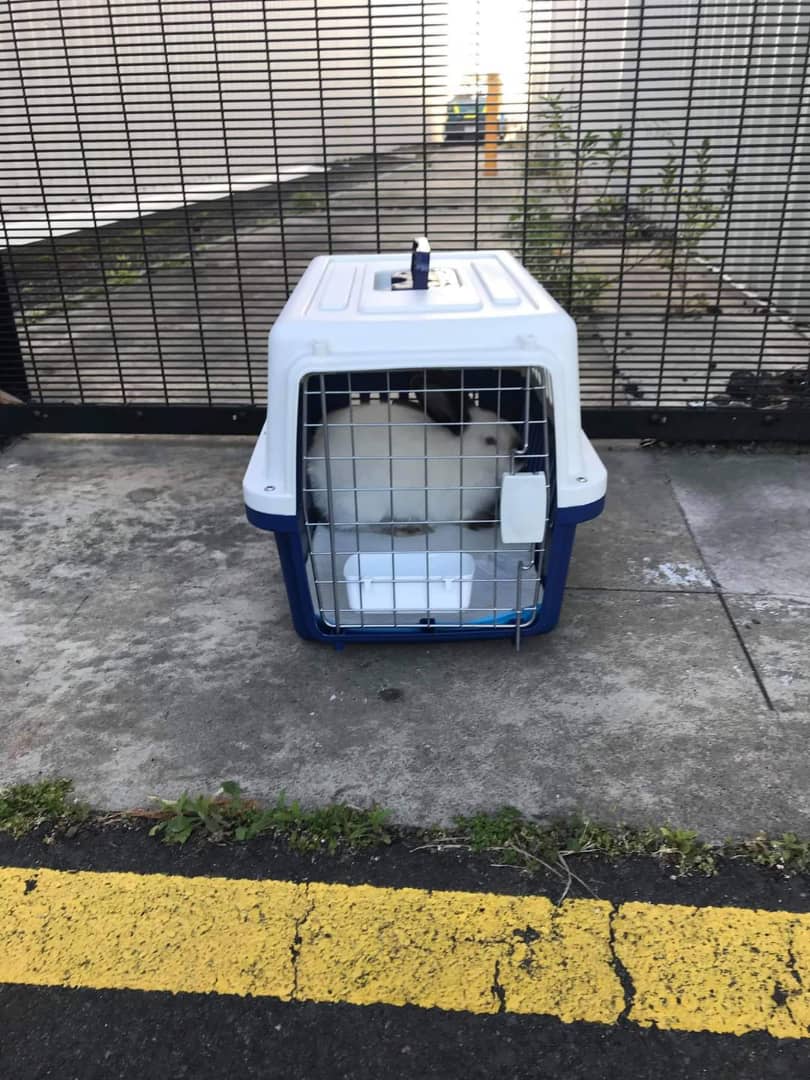 Let us arrange transport for you anywhere in Australia.  Using only experienced and reliable carriers we make the process easy and cost effective.