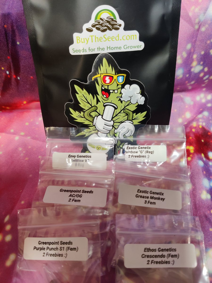 PotMarijuana's tweet photo. Ahhh yeah Monday Fridays!

Birthday beans, and the Headbangers! Good luck finding a pack that aren't being scalped.

Of course the homie hookup at https://t.co/6CzMovoEyZ has the fyah fiah.
#beanfiend
#Mmemberville
#CannabisCommunity 
#StonerFam 
#Weedmob 
#stoners 
#growyourown https://t.co/xFu6LNG8Am