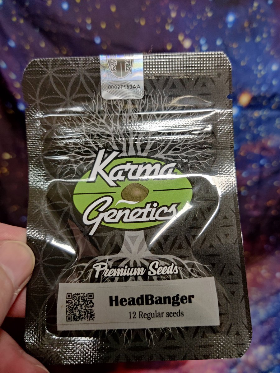 PotMarijuana's tweet photo. Ahhh yeah Monday Fridays!

Birthday beans, and the Headbangers! Good luck finding a pack that aren't being scalped.

Of course the homie hookup at https://t.co/6CzMovoEyZ has the fyah fiah.
#beanfiend
#Mmemberville
#CannabisCommunity 
#StonerFam 
#Weedmob 
#stoners 
#growyourown https://t.co/xFu6LNG8Am