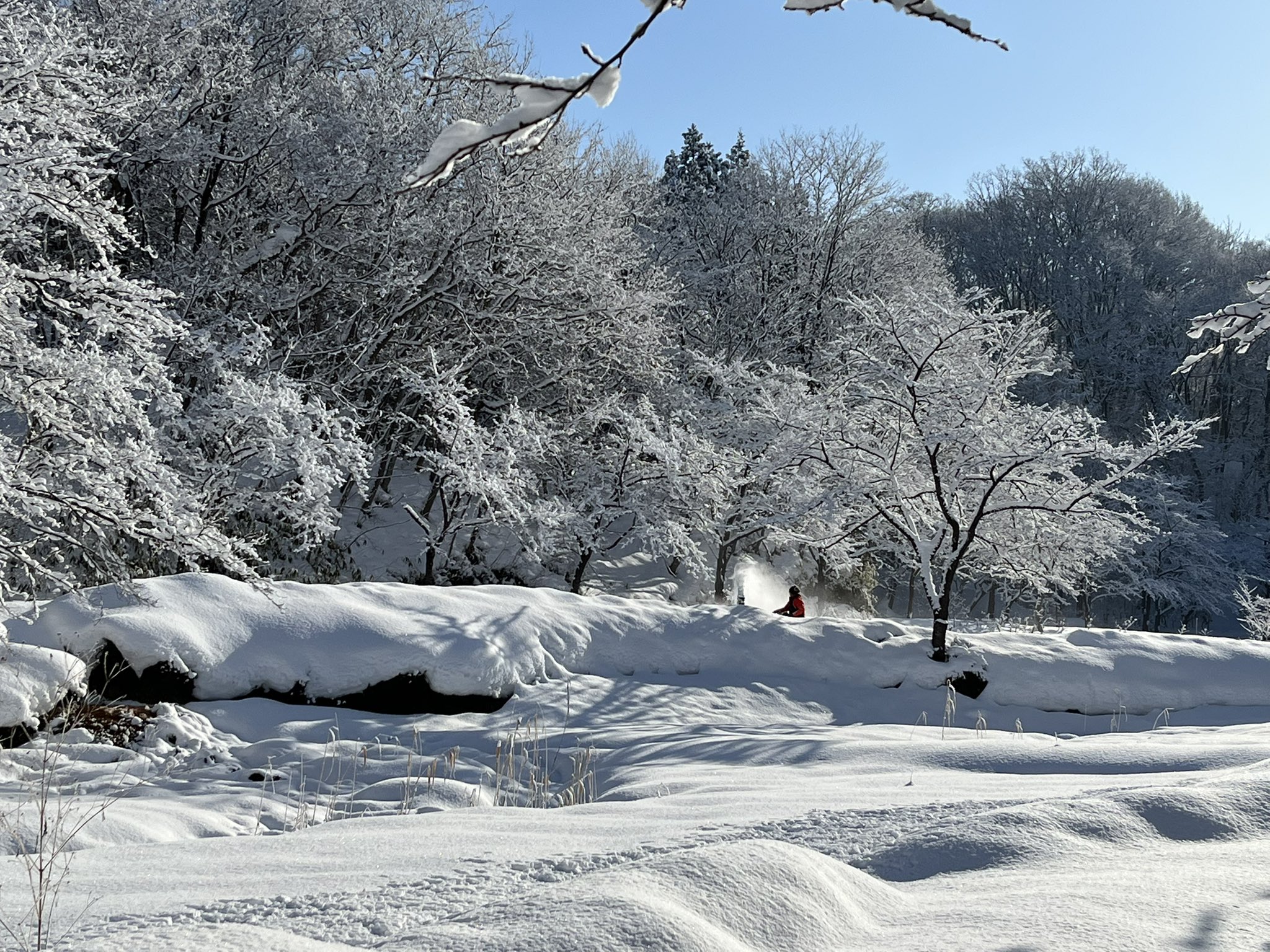 雪の華 Twitter Search Twitter