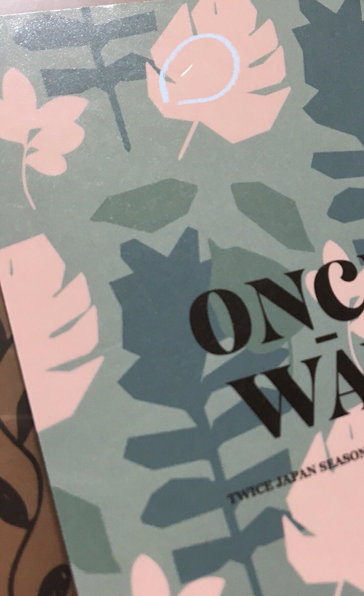 89%OFF!】 TWICE once way HMV限定トレカ モモ drenriquejmariani.com