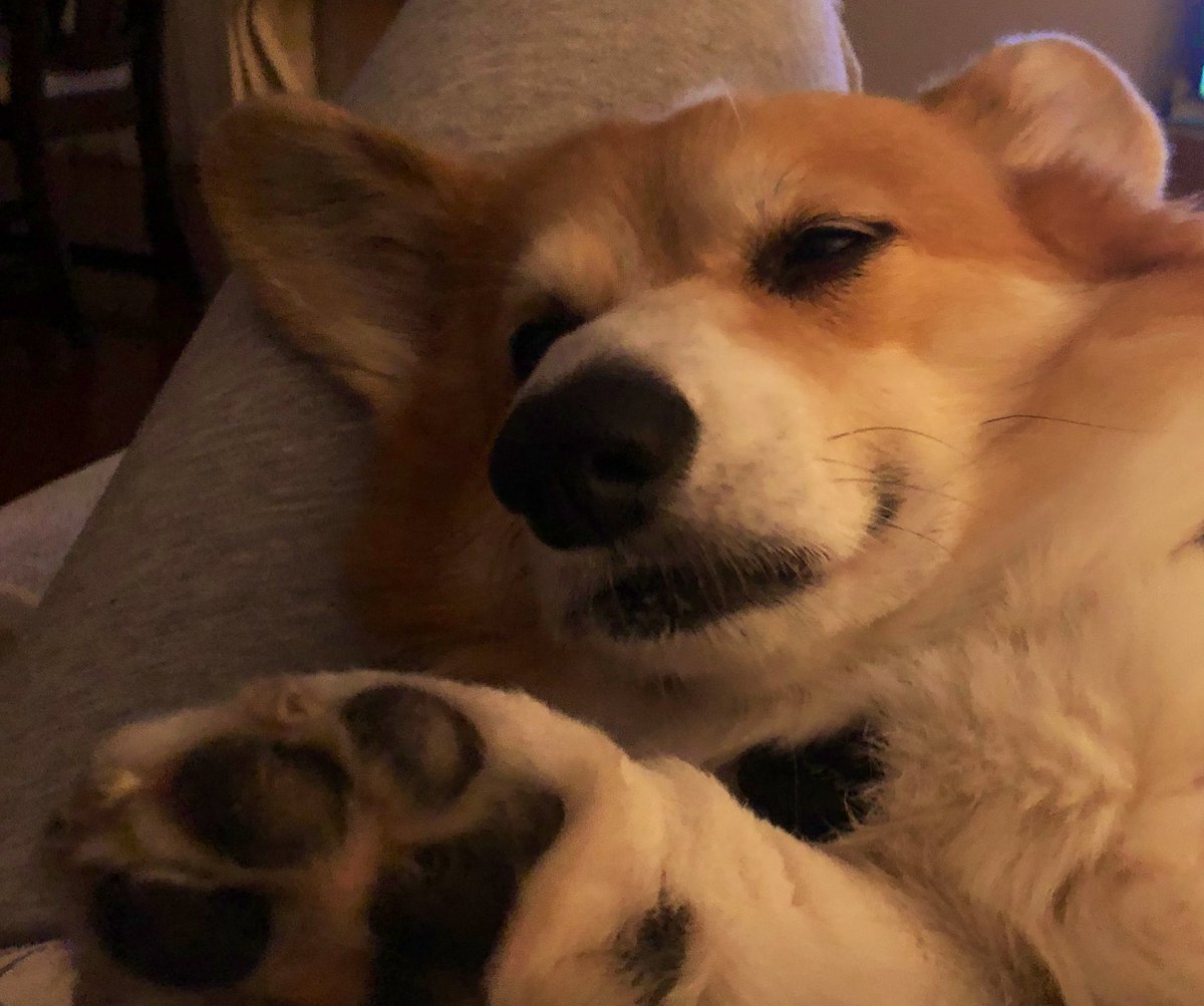 Meghan Huras tweet media