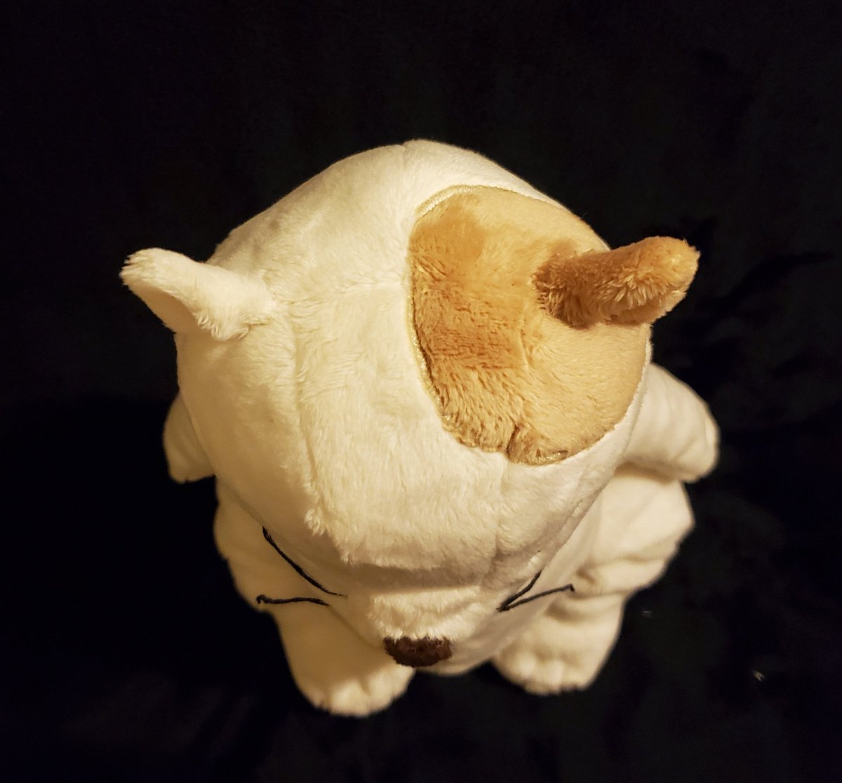 alittlefaun's tweet photo. Anyone recognize this grumpy, ever hungry cat? 🐱 I really wish I could meet Muta or Totoro in real life and give them a big hug...

Pattern by @AkiraOriginz!

#CatReturns #cat #Ghibli #plush #plushie #plushies #stuffies #sewing https://t.co/P0SUJIs7RE