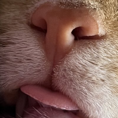 mrcrabphantom's tweet photo. #НовыйАватар https://t.co/QVVllPPy5Z