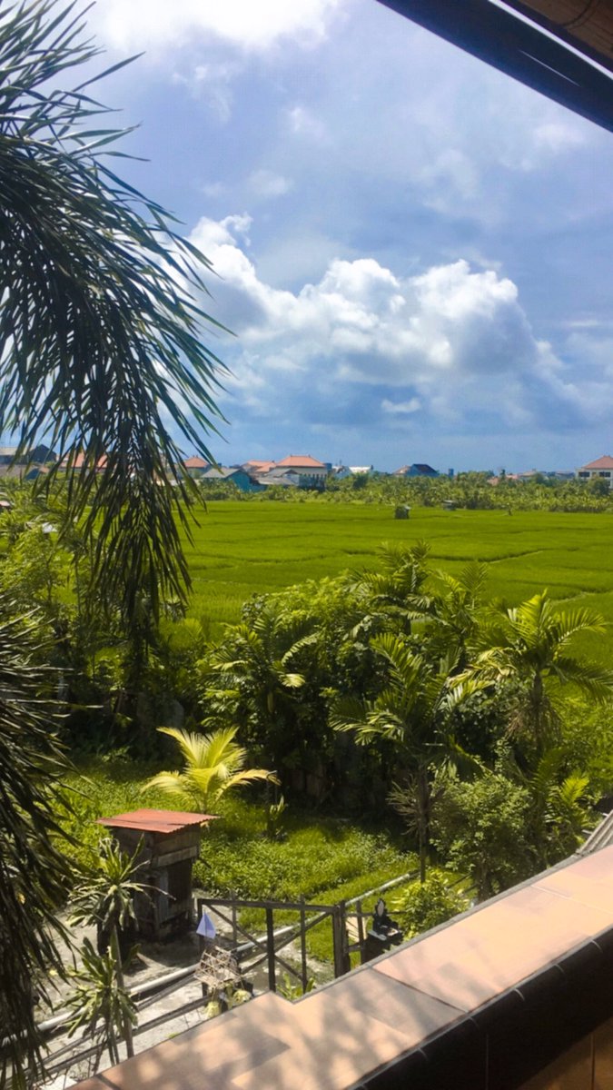 Bslim07's tweet photo. Suasanaa di dpan kmar kosan,,bkinn sejukk https://t.co/PobCRcIndP