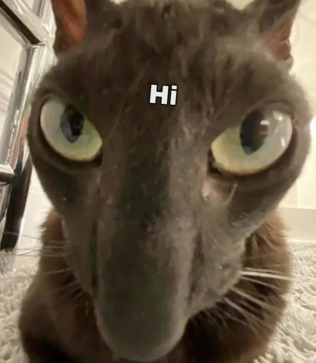 bwxmpf's tweet photo. hey twitter😇😇😻😻 https://t.co/pMPHYdxWiW