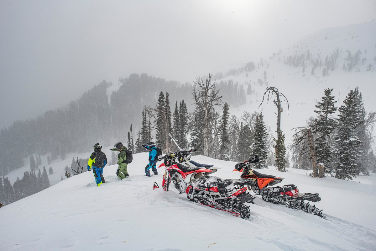 Scouting out the terrain ahead 🧭