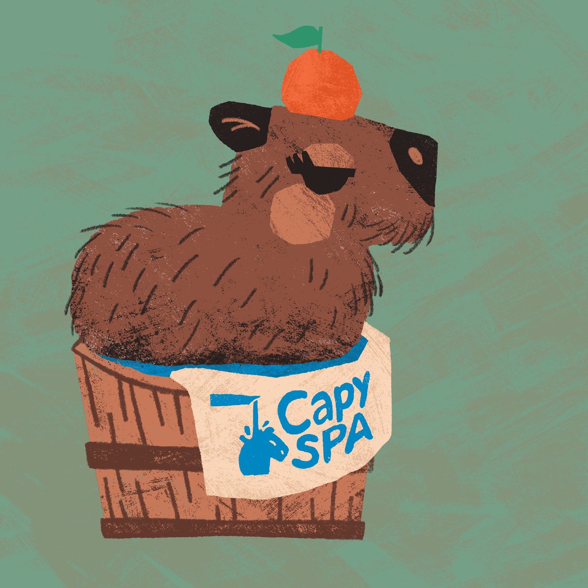 rudepetsclub's tweet photo. Capybara enjoying a spa day 🥺 https://t.co/HLtE6URCw8