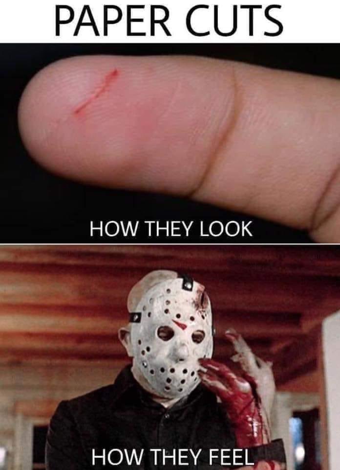PamVoorhees1980's tweet photo. https://t.co/PqdgEhn09b