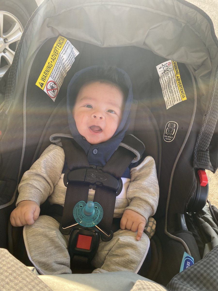 simplydriiii's tweet photo. 💗 he’s growing so fast 🥺 https://t.co/I8qzJVMSbY