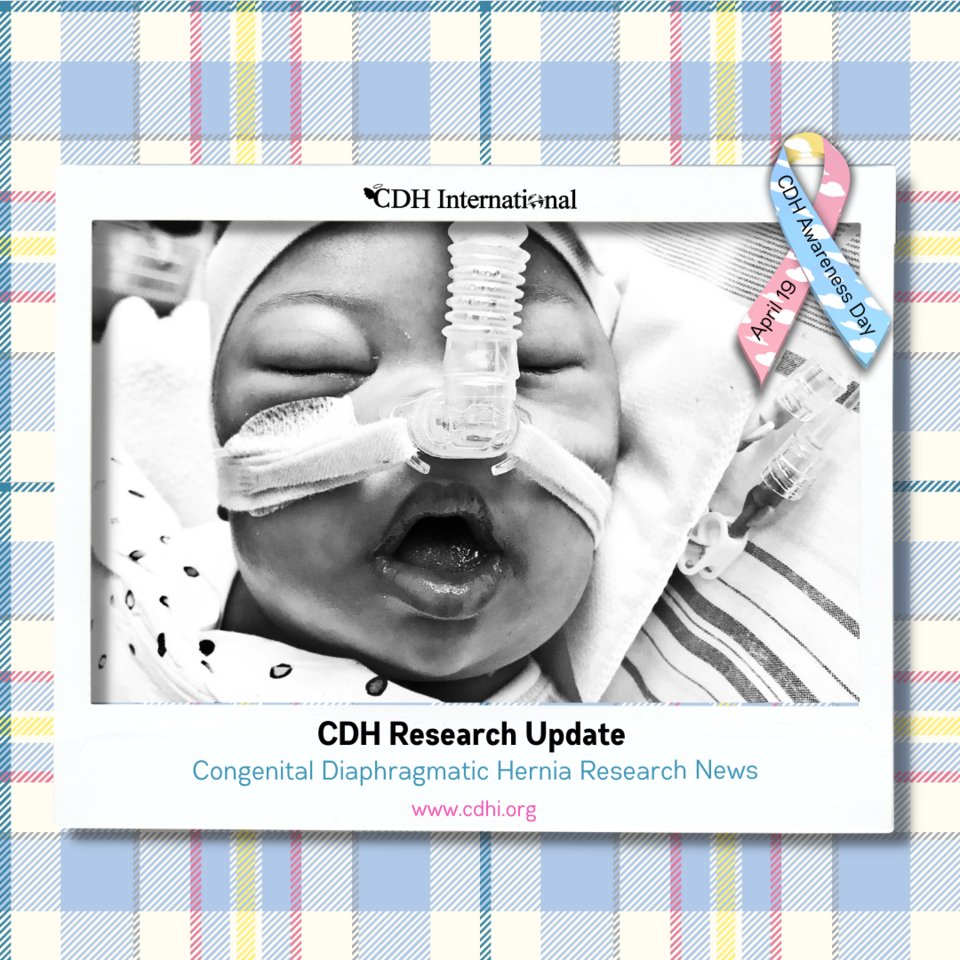 Respiratory Support of Infants With Congenital Diaphragmatic Hernia

cdhi.org/research-respi…

#cdh #cdhi #congenitaldiaphragmatichernia #cdhresearch #cdhiresearch #cdhiukresearch #cdhiuk