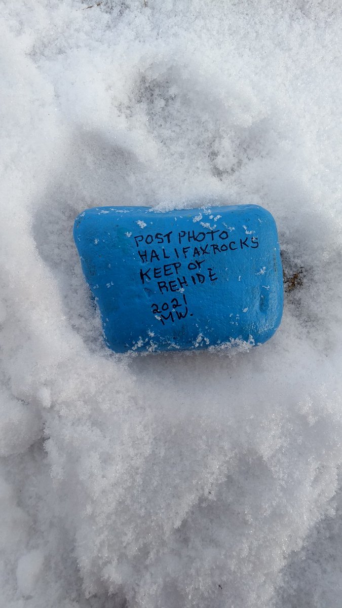 capak9's tweet photo. Sometimes you get off of the beaten path and find #Joy hiding in the snow. #HalifaxRocks Point Pleasant Park, January 9, 2022 https://t.co/q0Ut3iw6z2