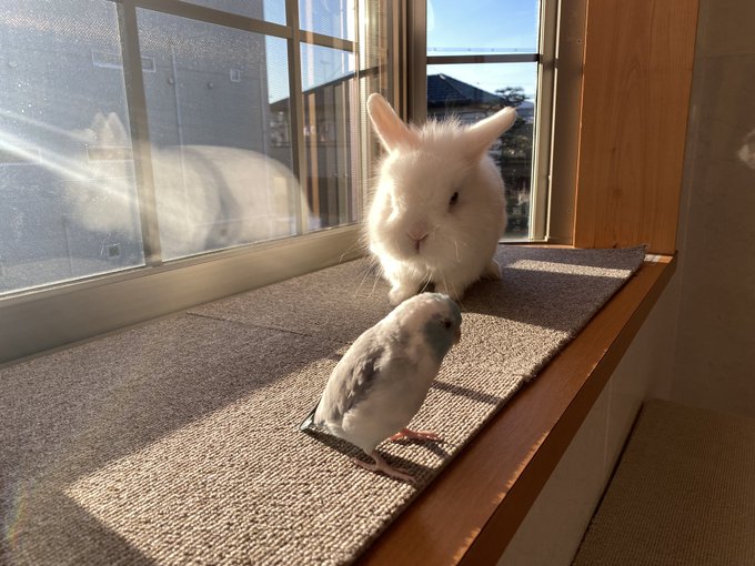 Evzdade Odvq8m Evzdade Odvq8m