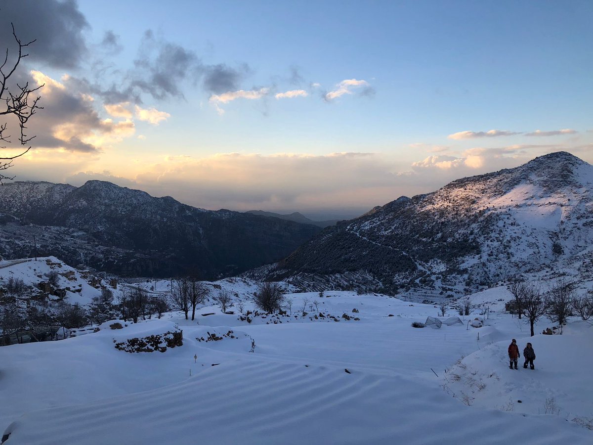 Rula Amin (@RulaAmin) | Twitter