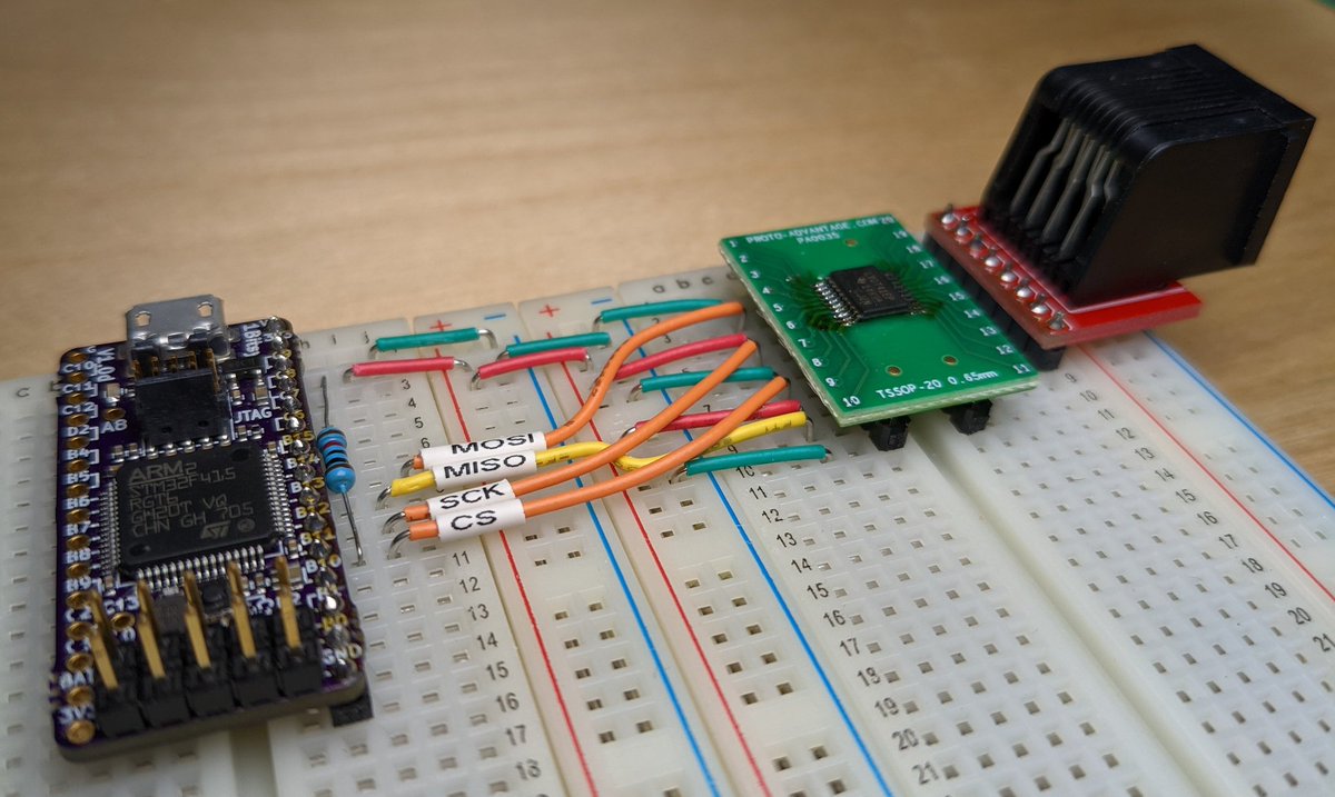 Sonya Vasquez tweet media