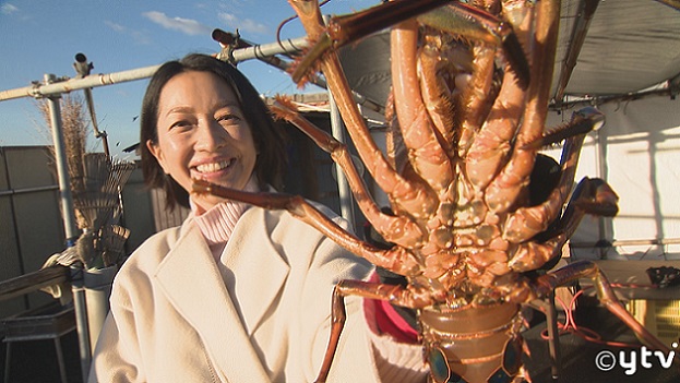 tohkuytv's tweet photo. 1月23日(日)放送📺

羽田美智子が冬の伊勢志摩を旅する✨

鳥羽水族館でしか見られない
珍しい生き物に遭遇🧜‍♀️

旬の伊勢エビを使ったぜいたくな漁師メシに
きんこ芋🍠を使ったスイーツとは？

お楽しみに～(^^)/

日本テレビあさ6時30分～
読売テレビあさ7時00分～放送

#遠くへ行���たい #羽田美智子 https://t.co/Y9OhOOjSU8