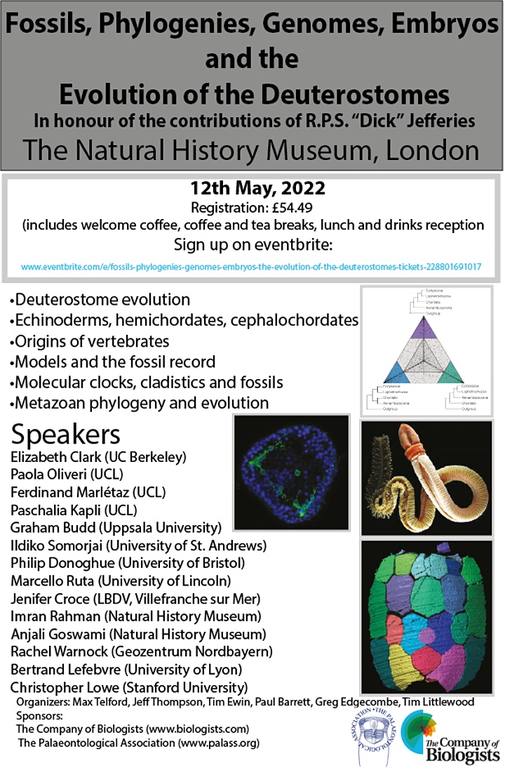 Pencil in your calendar the following one-day meeting. Date and place: 12 May 2022; NHM London.
Booking for this meeting is necessary and can be done at eventbrite.co.uk/e/fossils-phyl….