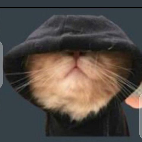 FEkotite's tweet photo. Iyo jado ageze muri restaurant yarurira 15k

Jado: wampaye ibyo hasi byashiririye kuri turuwasa😁😂😂🤣 https://t.co/235o6kp6nt