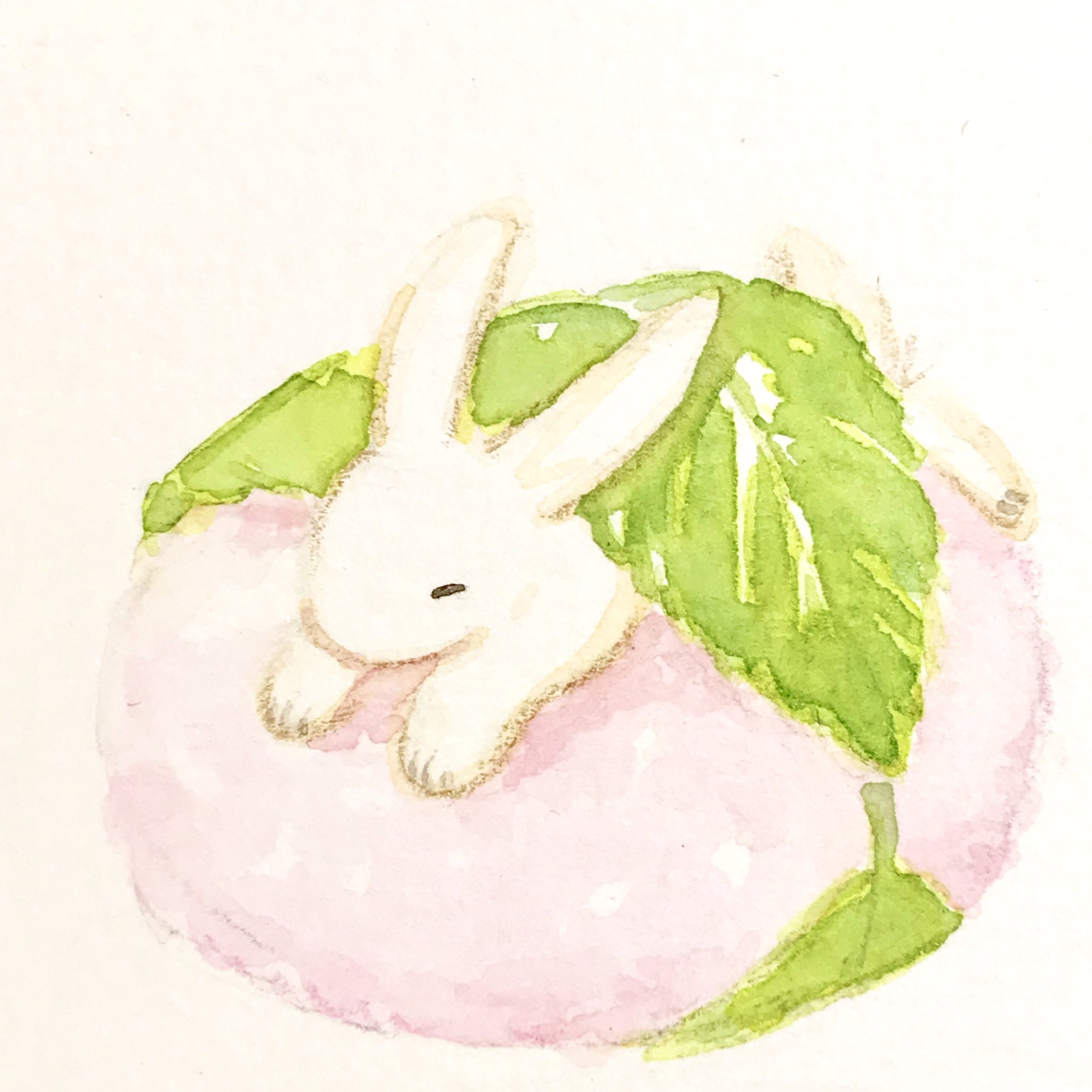 تويتر うさぎ和菓子 بحث في تويتر