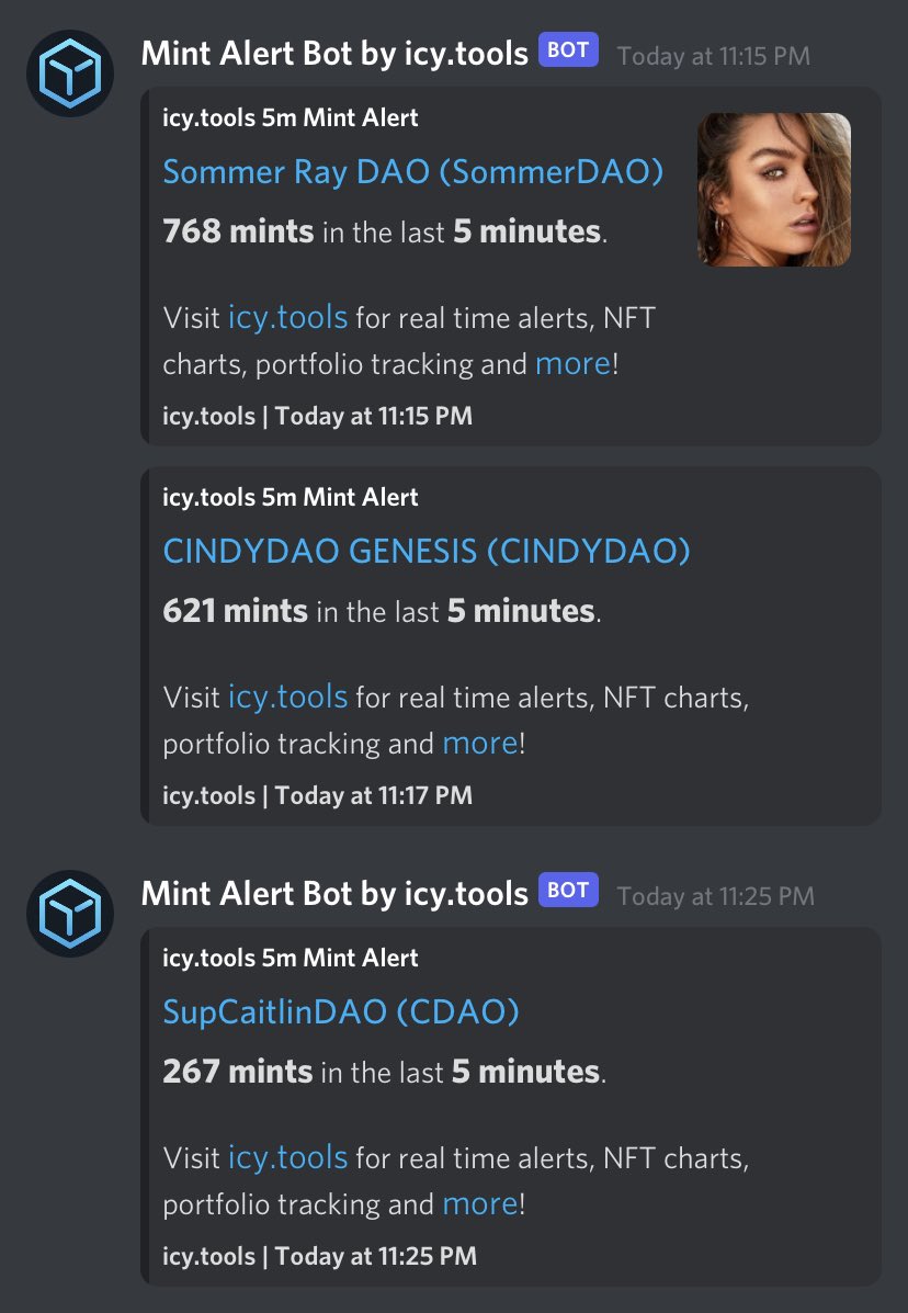 what the fuck is happening