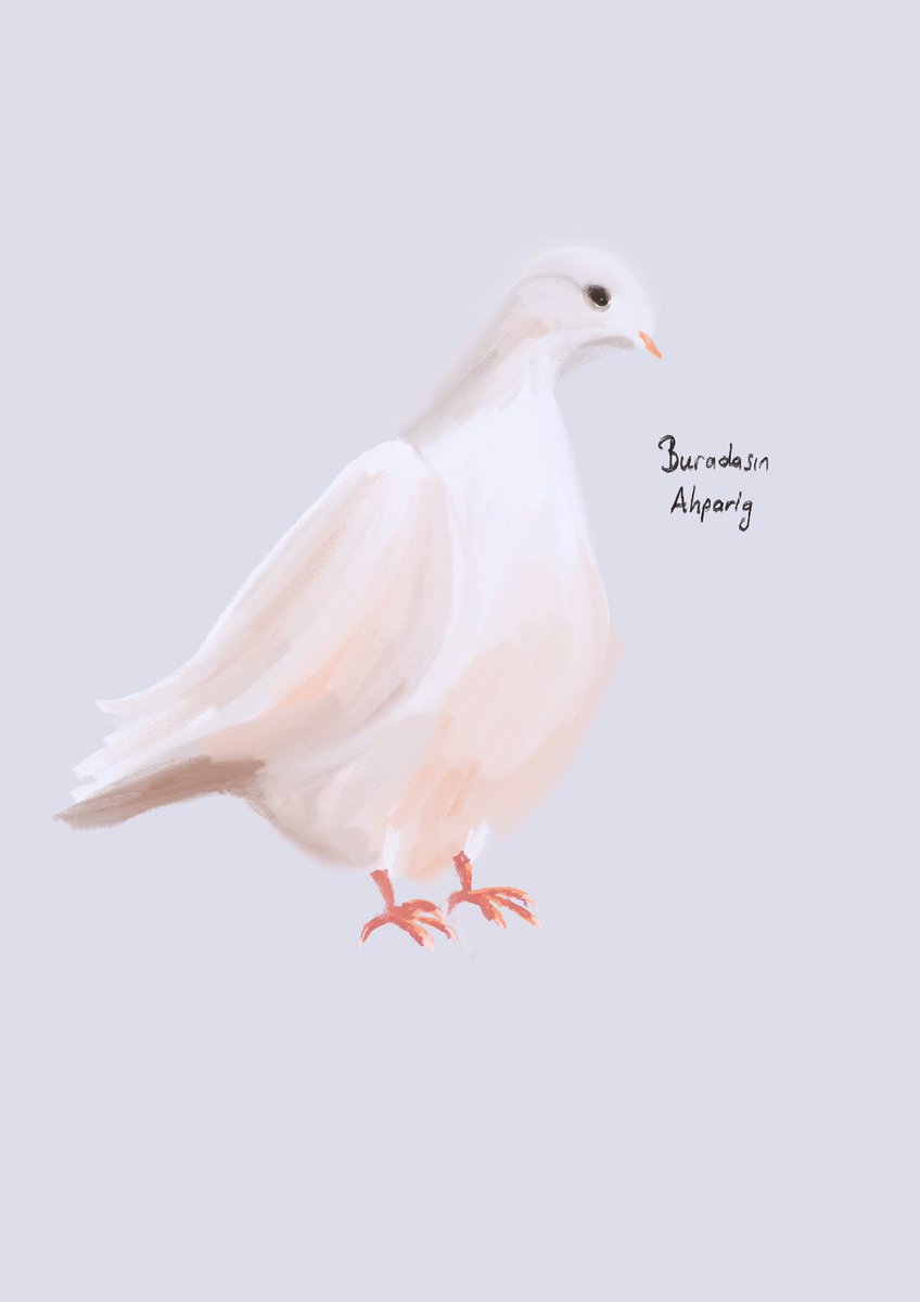 Buradasın Ahparig #Hrantsız15Yıl