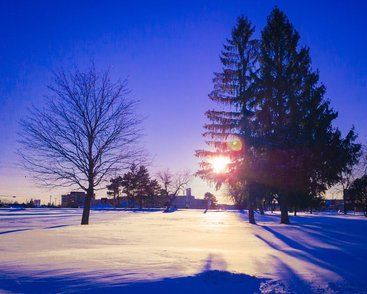 DomChrisOwens's tweet photo. The calm after snowmageddon!

There is just something peaceful about a massive area of perfectly untouched snow that really sets the scene for winter sunset photos.

#ygk #Kingston #photography #ONstorm #snowmageddon #Adobe #landscape #snowday https://t.co/QH80MKkNzT