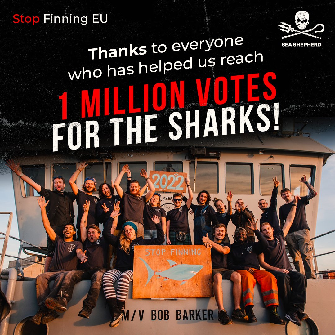 SeaShepherd_Aus's tweet photo. 🦈 WE DID IT, ONE MILLION VOTES! 🎉

Thanks to all of you, the EU Citizens' Initiative to ban shark-finning in the EU will be presented at a public hearing in the European Parliament.

Let's keep the momentum going!

https://t.co/jwQhAYWiW3 https://t.co/vTlfUhwE1q