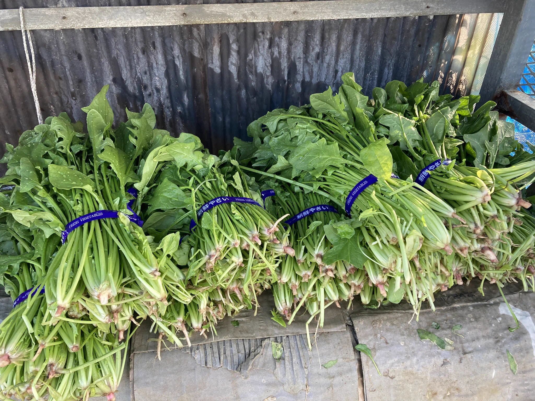 多くの人に見てもらいたい！野菜の無人販売店の張り紙！