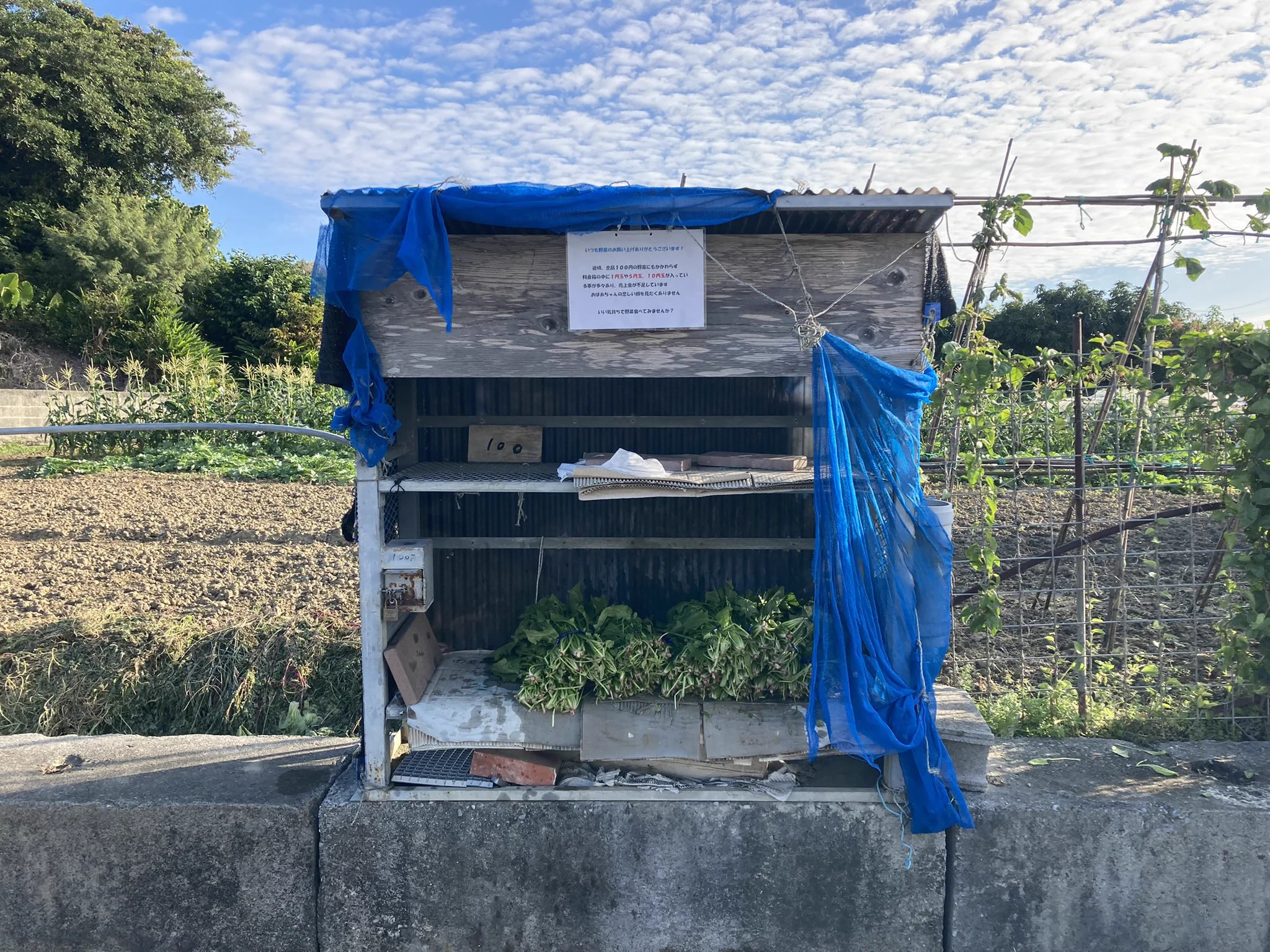 多くの人に見てもらいたい！野菜の無人販売店の張り紙！