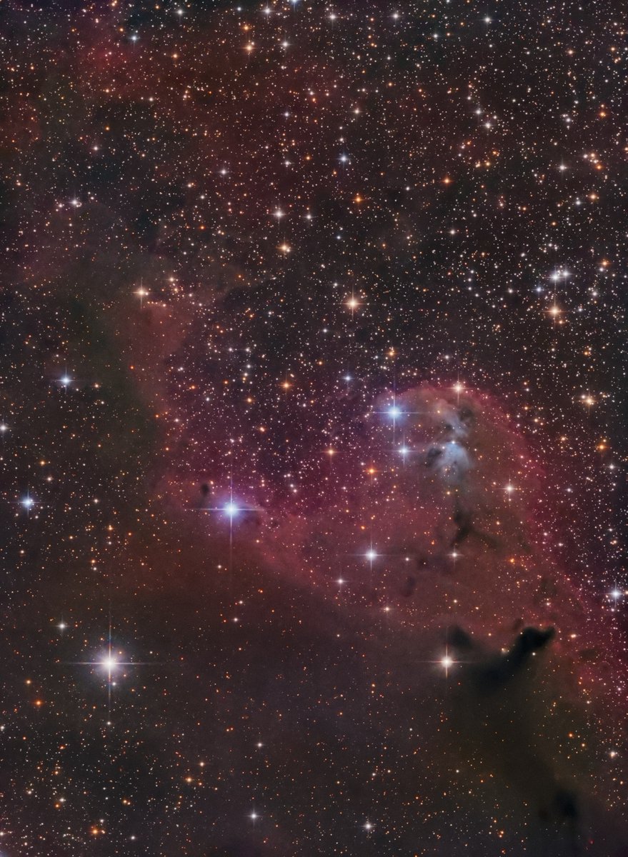 astro_se's tweet photo. Ced 51 in Orion

Been a while since I've actually sat down and processed something! 

32 hours total across L/R/G/B

GSO 6" f/4 Newt | ASI1600mm-Pro | CEM40 | ZWO filters https://t.co/Yx5pC82blK