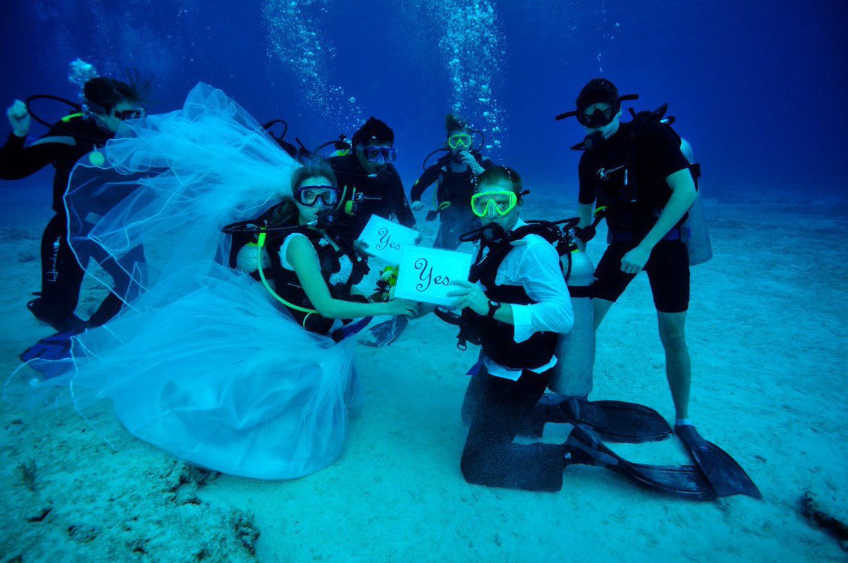 SECTUR_mx's tweet photo. ✨🌙 Les deseamos #BuenasNoches desde #Cozumel, un paraíso para los amantes del buceo. En este destino del @CaribeMexico puedes vivir momentos inolvidables, en escenarios únicos. 🤩 ¡Imagínate una boda debajo del mar turquesa de esta bella isla!

#MartesDeBodas 💍
#QuintanaRoo https://t.co/pY8YCaem5N