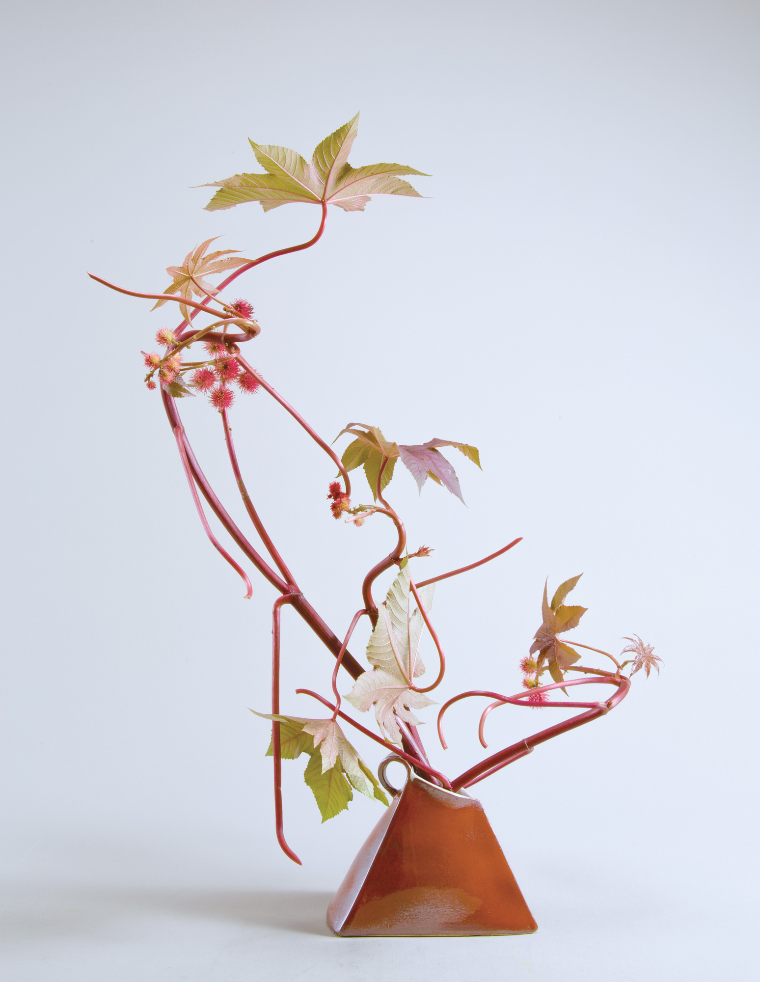 いけばな龍生派 いけ花龍生 21年9月号に掲載の 本部自由花一級研究会 一種いけ より 無審査作品 制作 本間淳揚 花材 とうごま 器 陶赤色花器 掲載誌のご購入 講評文も掲載されています Gt T Co Znnbmvudli いけばな 生け花