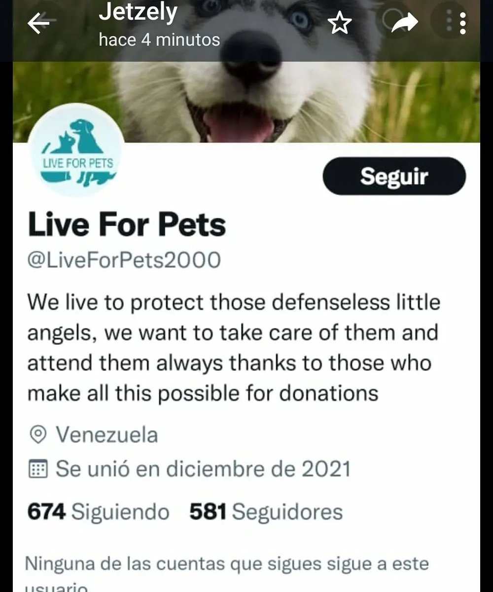 ManosXpatas's tweet photo. ATENCIÓN Como pueden ver estas publicaciones hechas por esta cuenta de Twitter @LiveForPets2000 pertenecen a publicaciones de ManosXpatas Tilin, Raya y el Cielo de #TierraBendita 
Encontramos fotos que pertenecen a otros refugios de Venezuela hay que denunciar esta cuenta https://t.co/CQ2CvZvkwx