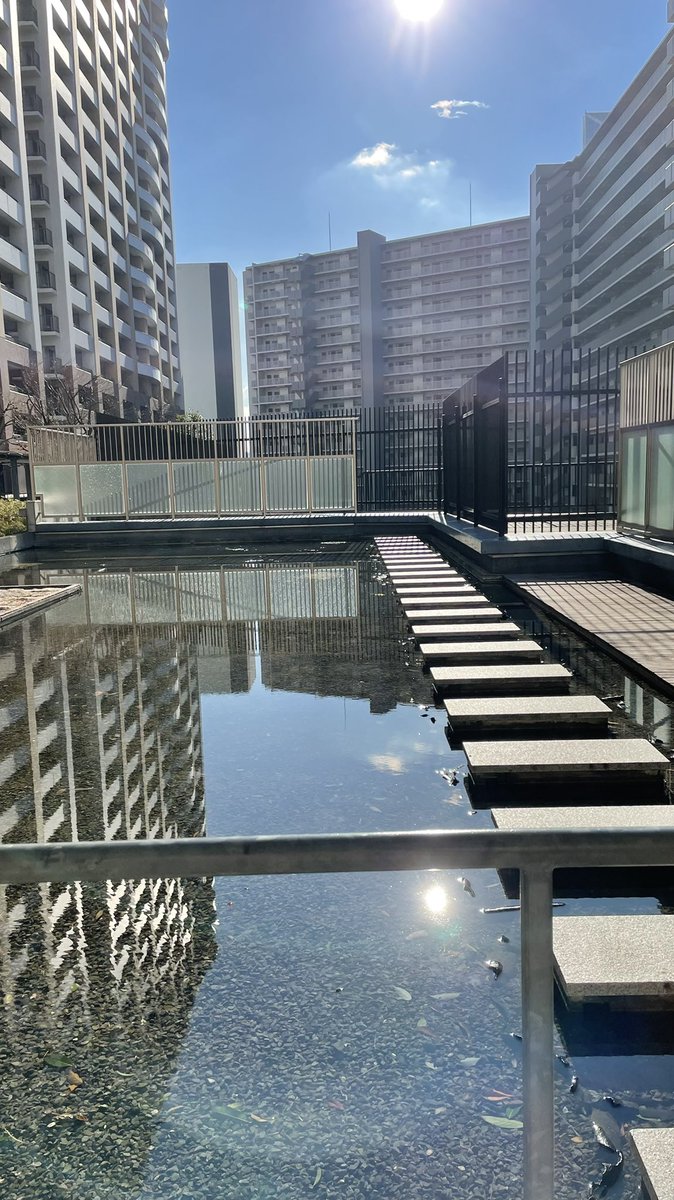 NPilates2's tweet photo. 本日も寒い中、沢山集まっていただきありがとうございました♪
ピラティスグループレッスンお疲れ様でした♪
#大阪ピラティス
#大阪子連れトレーニング
#子連れピラティス https://t.co/3uIIn7YnXZ