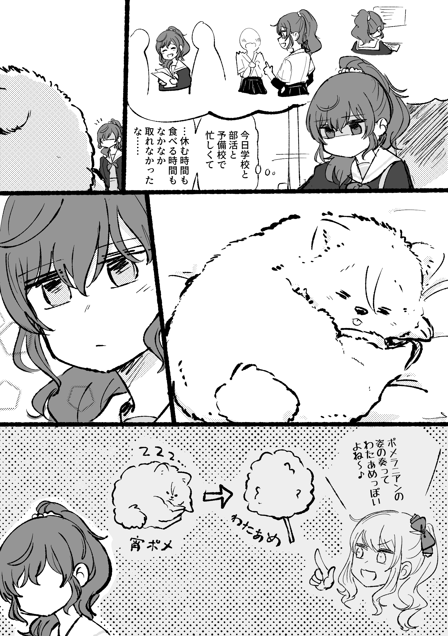 ちーちゃん54 スクラブ教 今日の宵ポメ T Co Ebdoihh1vw Twitter