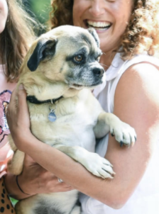 OnTheBe34508868's tweet photo. @votejoshout @JoshFrydenberg That dog ACTUALLY being owned by that family is as likely as Joshie ever getting "Back In The Black!"
#PropDog #HireHound https://t.co/svRFUkAiYZ