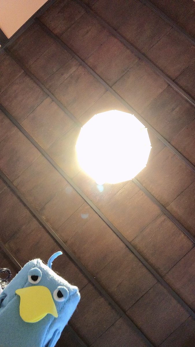 青い鳥 画像 最新情報まとめ みんなの評価 レビューが見れる ナウティスモーション 4ページ目