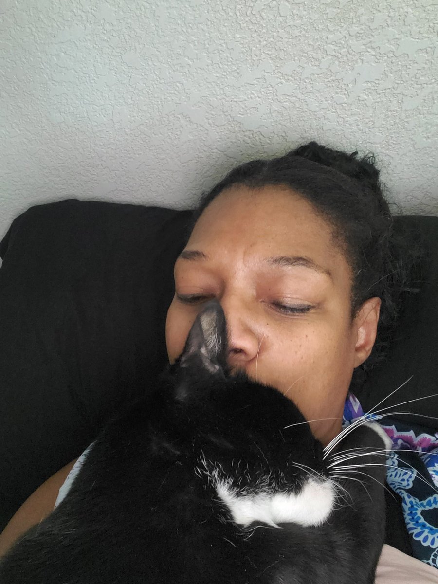 SocoJones's tweet photo. It's the #paw #hugs for me! Pup-pup is the name and #snugglecat is his game. Haaa! He picked the perfect day too! 🧡 #this guy #tuesdaymood #catsofgram #furmom #nopersonalspace #actress #actor #actresslife #upsanddowns https://t.co/OH6EHBaonW