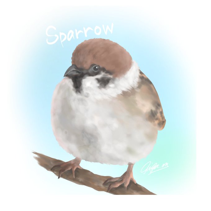 すずめのtwitterイラスト検索結果