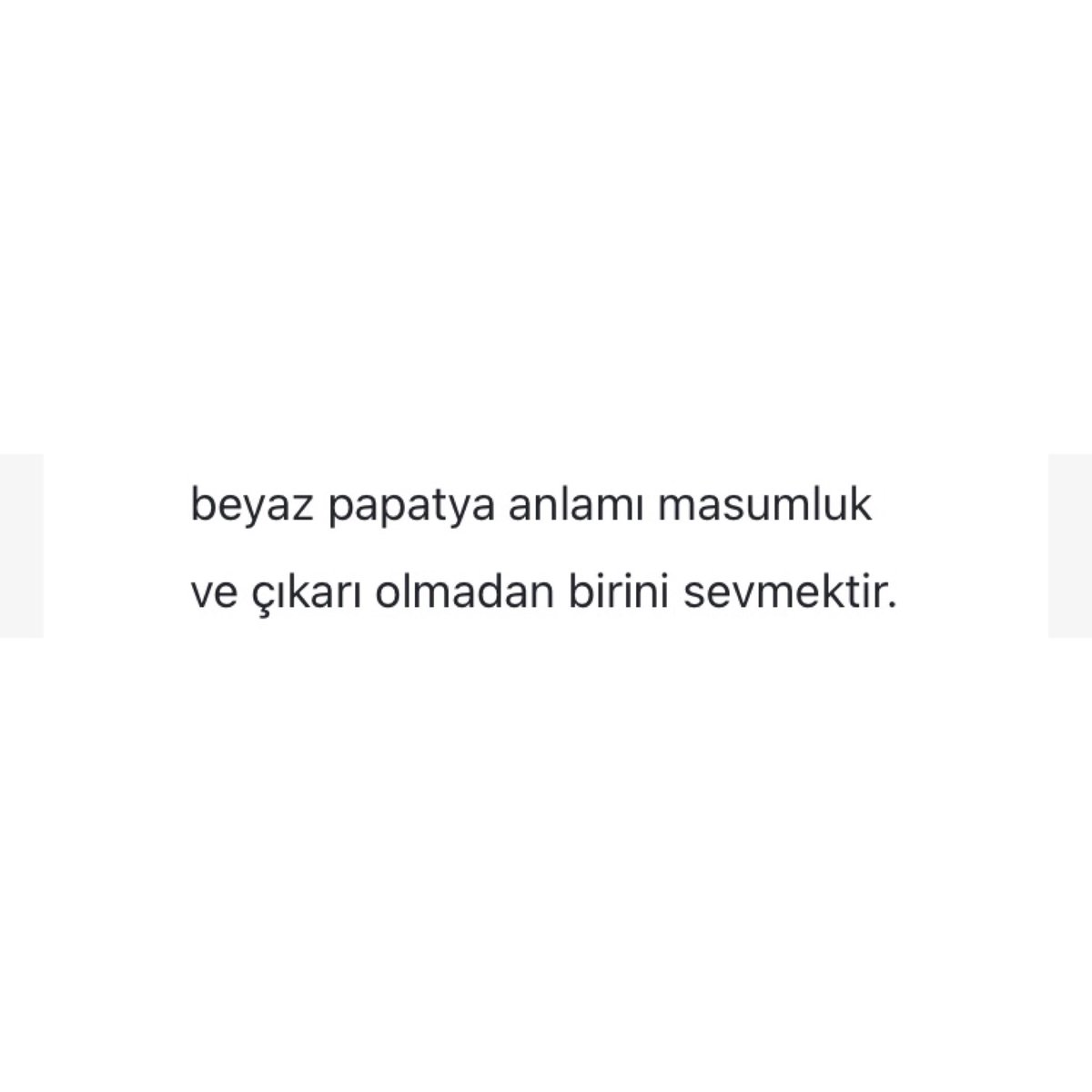 wiiinterfalls's tweet photo. “çiçek dilini sevmemin sebebi… biri sevmese de çiçeği gördüğü zaman çiçek için güzel bir anlam bırakır, değil mi? öyle insanları seviyorum böylece insanlara olan şefkatini kaybetmiyorsun, bu yüzden işte.” https://t.co/yXih4YoXee