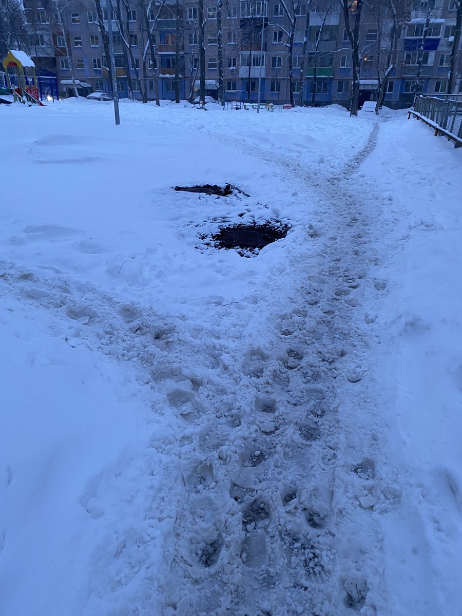 анна tweet media