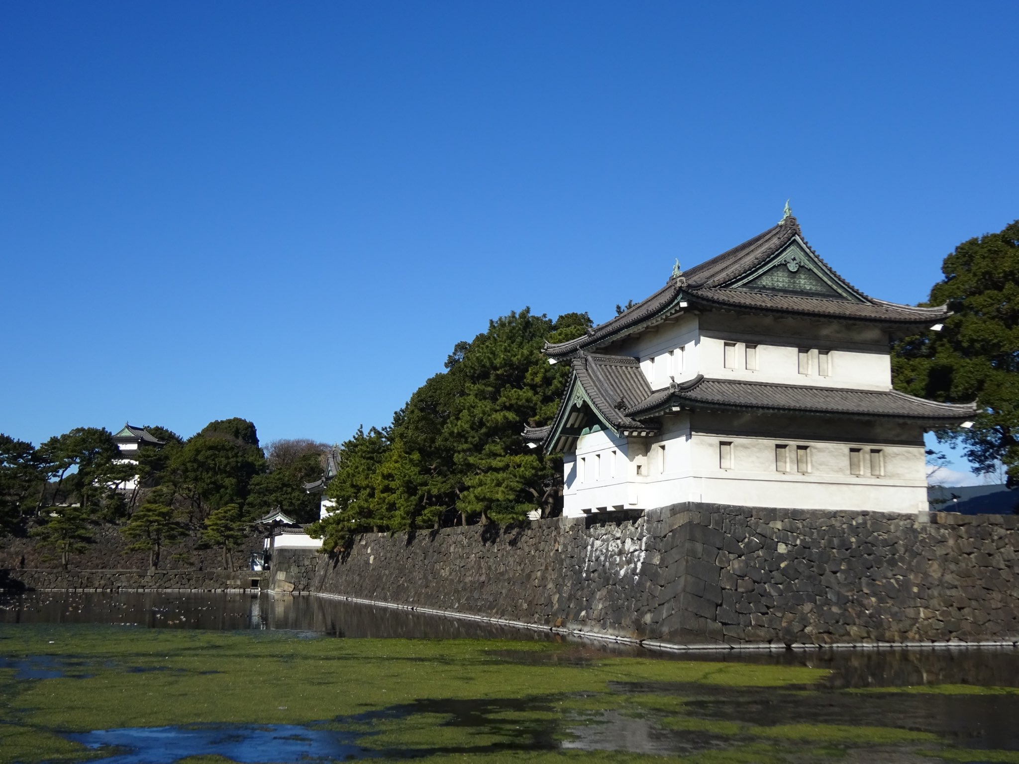 国民公園協会 皇居外苑 広報 白壁が際立つ快晴 桜田巽櫓 旧江戸城の東南 巽 の方角に位置する桜田巽櫓 往時には江戸城は19の櫓を構えていましたが 現在は桜田巽櫓を含め3基のみとなっています 二重橋の伏見櫓と東御苑に位置する富士見櫓が残りの2基 国民公園協会 皇居外苑 広報 白壁が際立つ快晴 桜田巽櫓 旧江戸城の東南 巽 の方角に位置する桜田巽櫓 往時には江戸城は19の櫓を構えていましたが 現在は桜田巽櫓を含め3基のみとなっています 二重橋の伏見櫓と東御苑に位置する富士見櫓が残りの2基