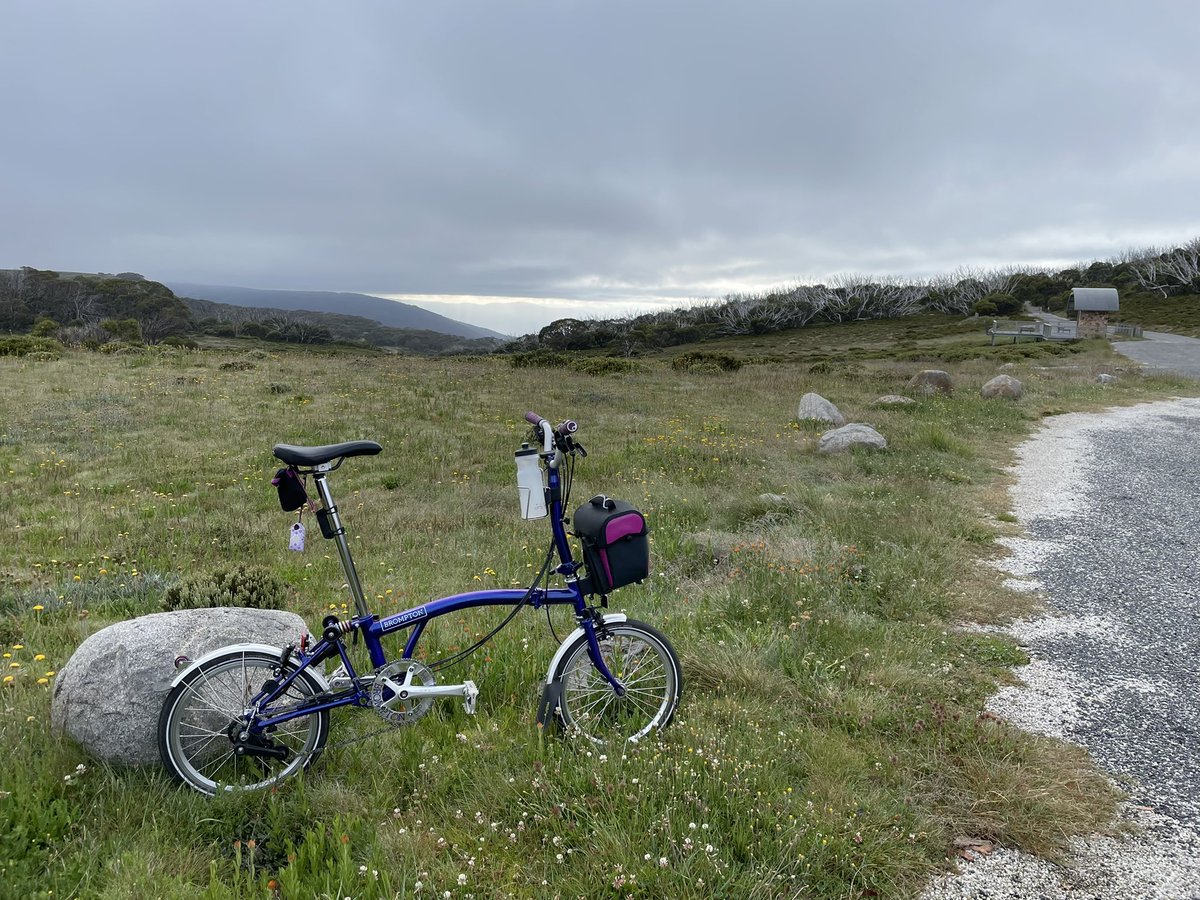 daynaa2000's tweet photo. Also from this morningโs ride.
Only mildly interrupted by the re-surfacing road works currently underway. Last week they were working in 45C heat, this morning 3C felt like 1C!
#SoSmooth #ThanksTeam #AllWeatherWorkers #MyBrompton #MadeForEscaping https://t.co/l0o8ktGrPs
