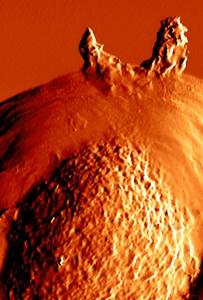 Dr Celine Heu💉💉 she/her tweet media