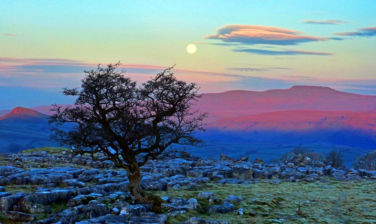 yorkshire_dales's tweet photo. Who saw the first full moon of 2022, known as the Wolf Moon? 🐺

Due to clear skies there were some fantastic opportunities to capture it in the #YorkshireDales 🌕

This is a view from Winskill Stones in #Ribblesdale, taken early yesterday morning.

📸 With thanks to uWhoAndyR https://t.co/dziR8qzMpC