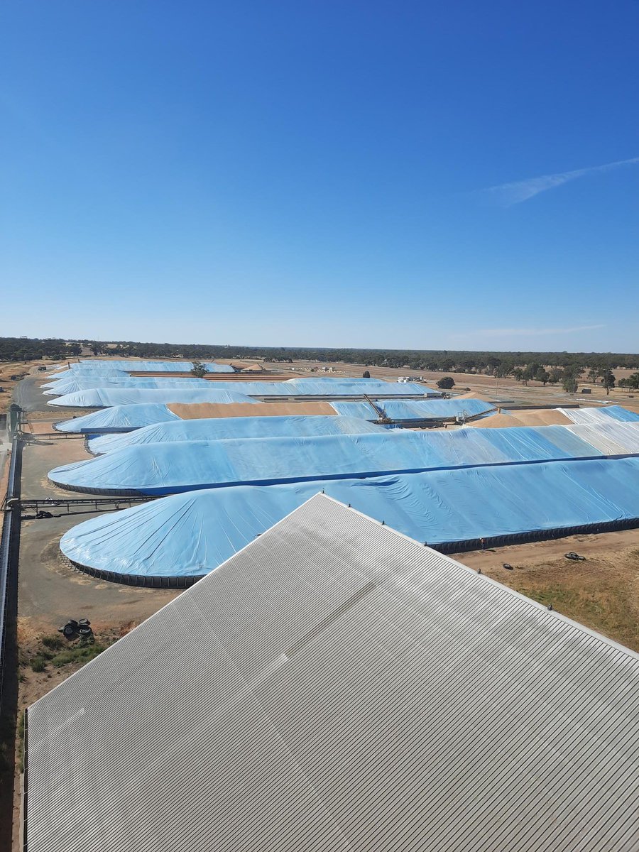 CargillAUS's tweet image. Spectacular sight at one of our #grainflow site at Dimboola, Vic
#harvest #Grains #agtwitter