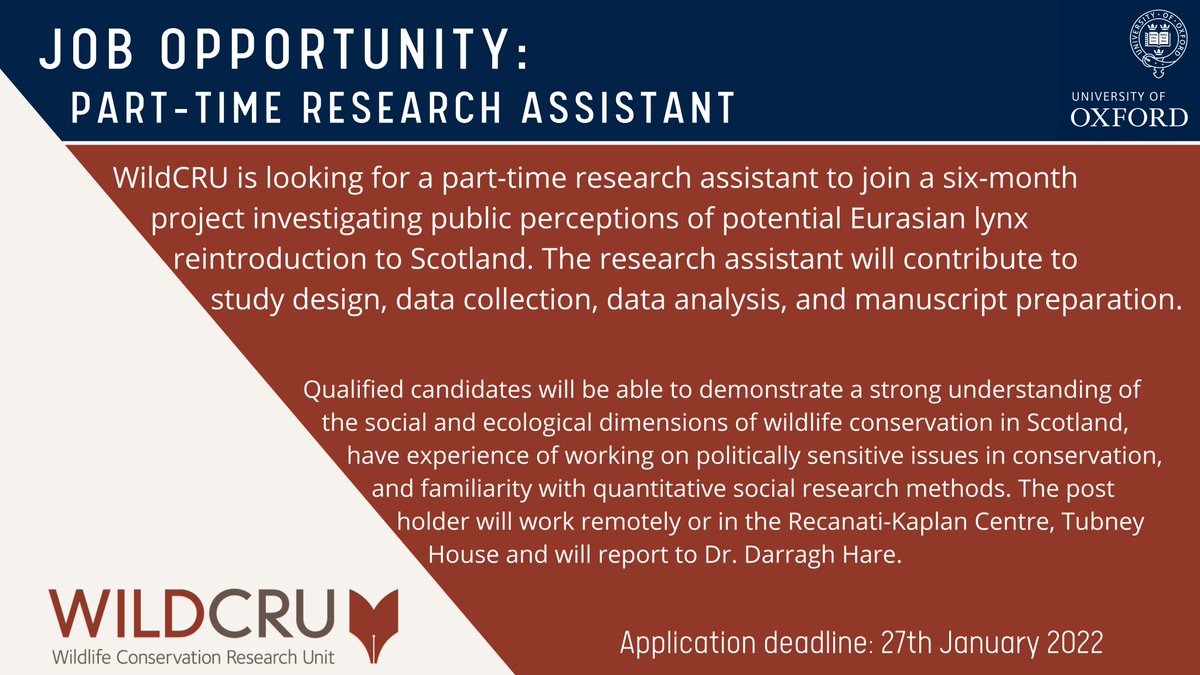 WildCRU_Ox's tweet photo. Exciting opportunity for a research assitant to join #WildCRU @OxfordBiology on a six-month project investigating social dimensions of potential Eurasian lynx reintroduction to Scotland. 

Full details on @UniofOxford website https://t.co/zFctEBqYyP

Please share widely! https://t.co/XJxpKgyjdg