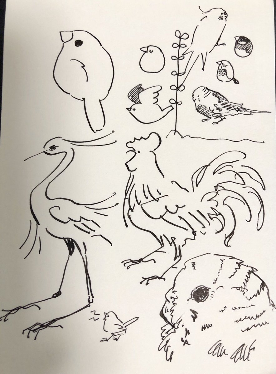 手グセの鳥 