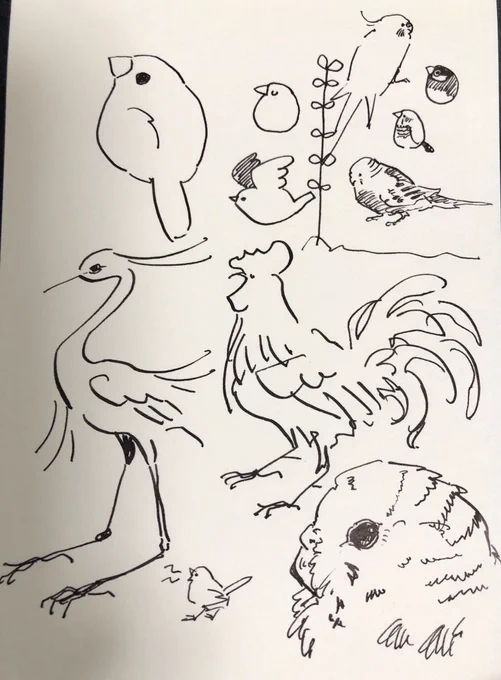 手グセの鳥 