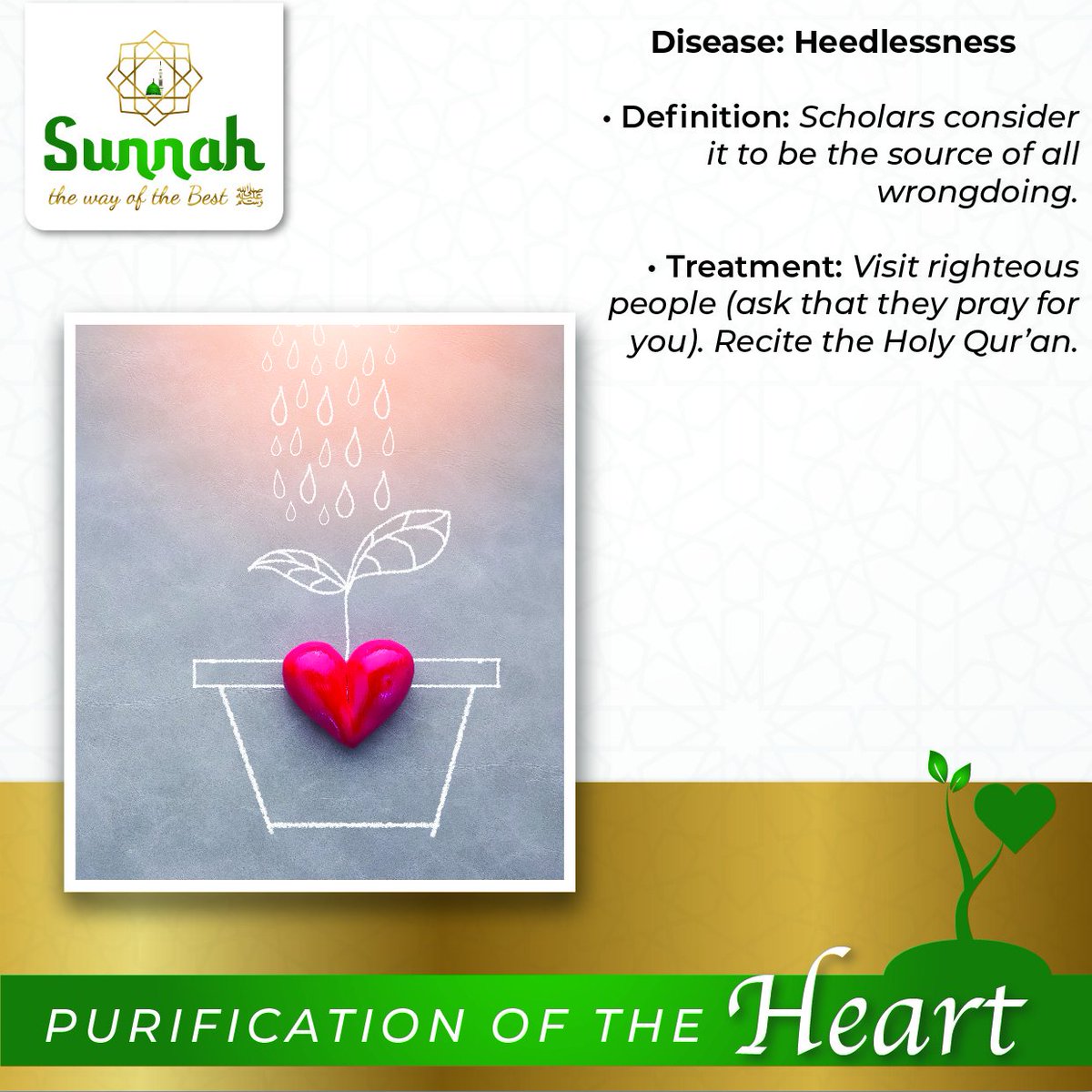 TheWayOfTheBest's tweet photo. #heedlessness
#purification of the #heart https://t.co/AaVUgB76QF